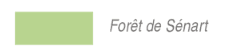 Bois et forêts - Image 1